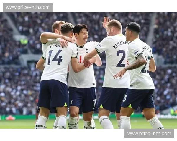 热刺魂：在北伦敦书写不屈与荣耀的传奇